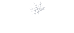 MapleSage-New-logo-without tagline